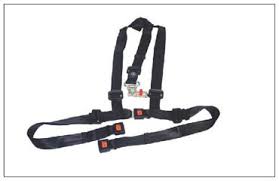 Wheelchair Harness Belt | H350222